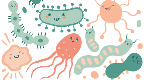 Illustration of differnt germs